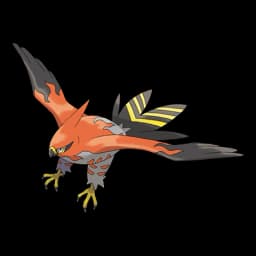 Talonflame